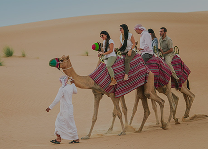 Half Day Desert Safari Providers in Qatar