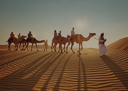 Best Overnight Desert Safari Providers in Qatar