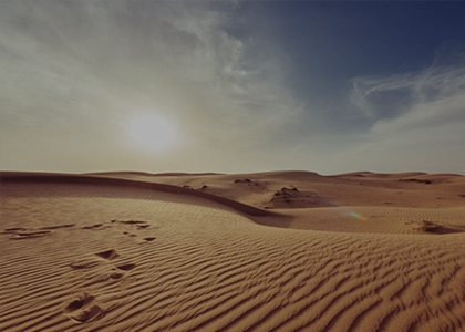 Sunrise Desert Safari Providers in Qatar